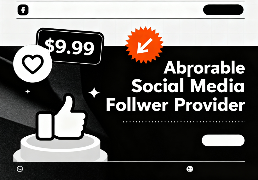 Affordable Social Media Followers Provider